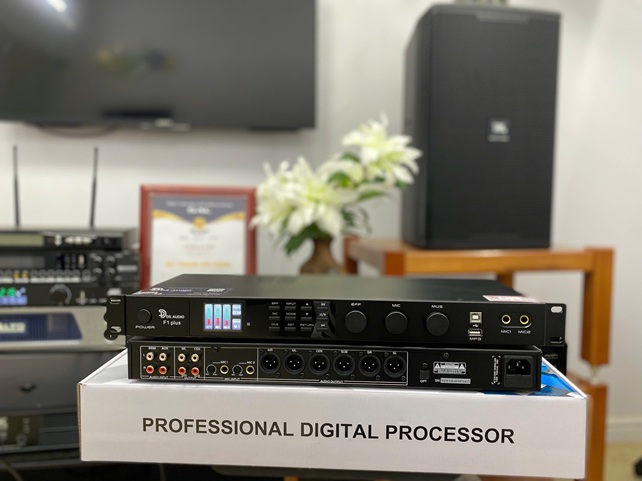VANG SỐ DS AUDIO F1 PLUS CHÍNH HÃNG DS AUDIO VANG SỐ DS AUDIO F1 PLUS CHÍNH HÃNG DS AUDIO