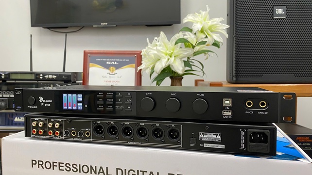 VANG SỐ DS AUDIO F1 PLUS CHÍNH HÃNG DS AUDIO VANG SỐ DS AUDIO F1 PLUS CHÍNH HÃNG DS AUDIO