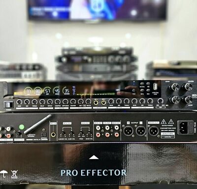 VANG CƠ LAI SỐ ETC PRO AUDIO LX650PRO HÀNG CHÍNH HÃNG